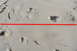 Friendship and lines in the sand: do they mix?